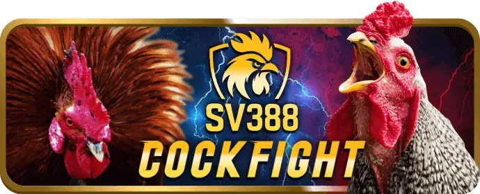 Đá Gà 333win3